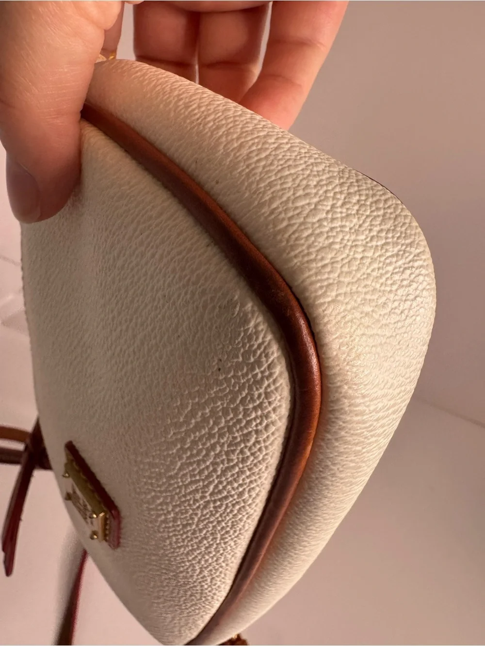 #380 Dooney & Bourke Lexi Small Pebbled Leather Crossbody Bag